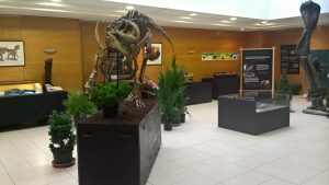 Museu da Lourinhã leva exposição itinerante até França