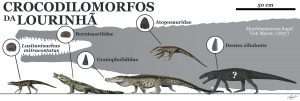 Novidades sobre crocodilomorfos que habitaram a Lourinhã