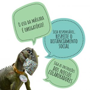 O Museu da Lourinhã reabre ao público no próximo dia 20 de maio