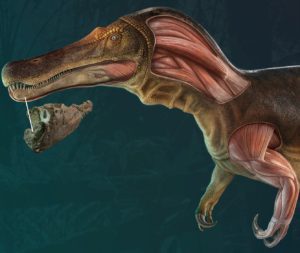 Novo dinossauro predador de Portugal