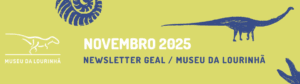 Newsletter 2025 – Museu da Lourinhã
